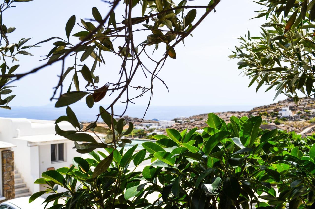 Elma'S Summerhouses Mykonos Town Extérieur photo
